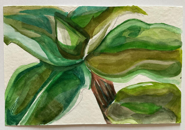 Aquarela sobre canson