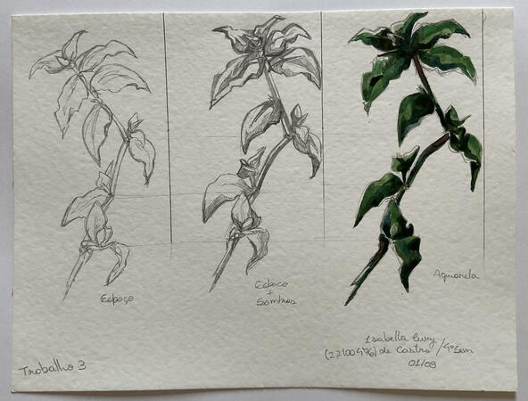 Aquarela sobre canson